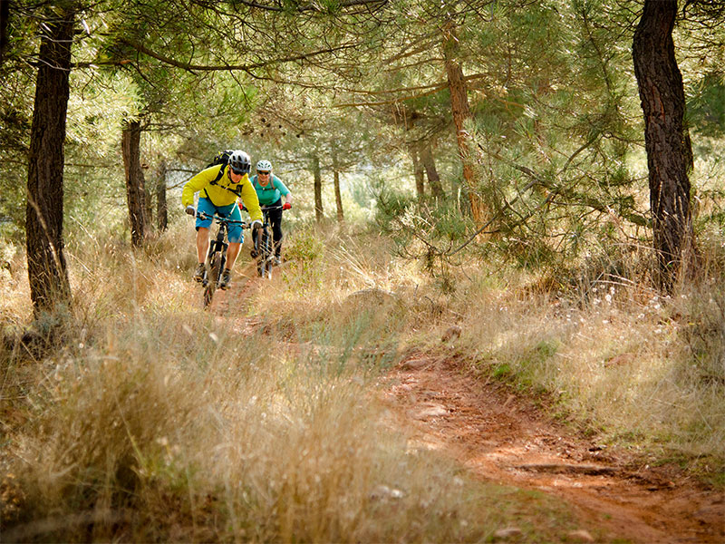 MTB Sierra Nevada