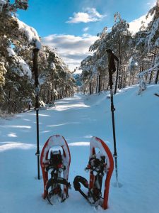 Raquetas de Nieve