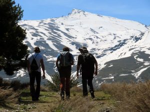 Subida al Veleta